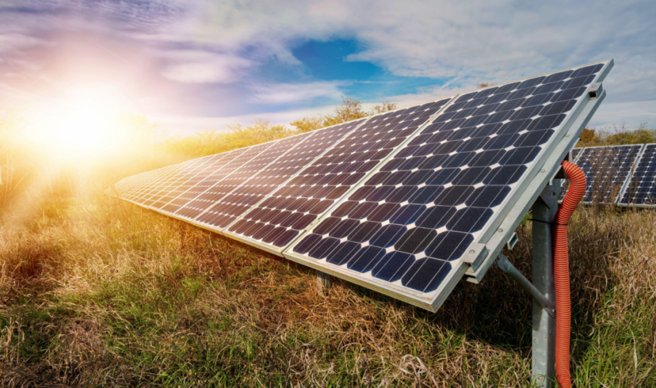 綠色“雙碳”服務(wù)